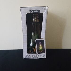Homedeco Light Up Terrarium in Lightbulb Design - Hanging